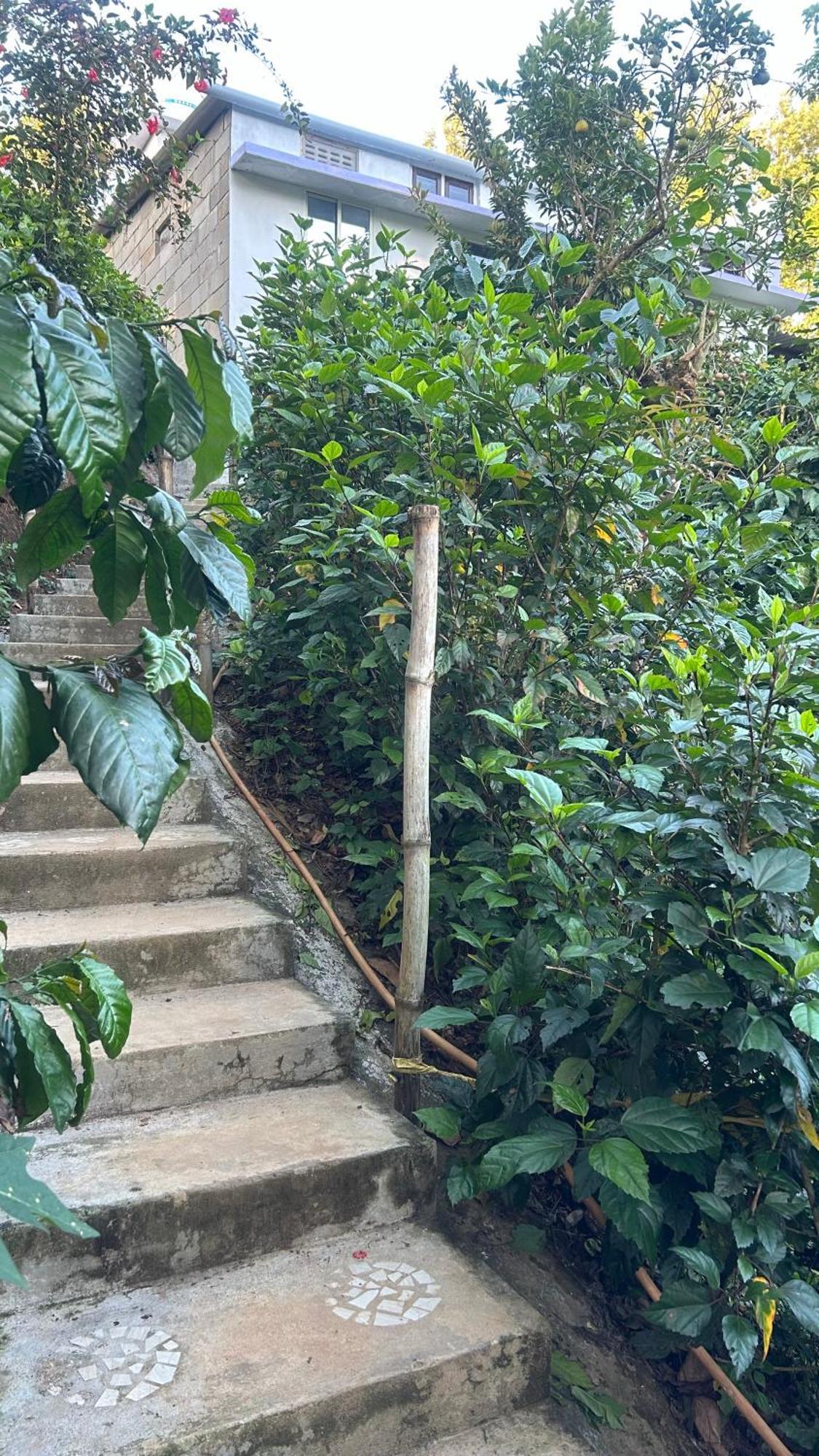 Doddakallu Betta Homestay Coorg Somvarpet Ngoại thất bức ảnh
