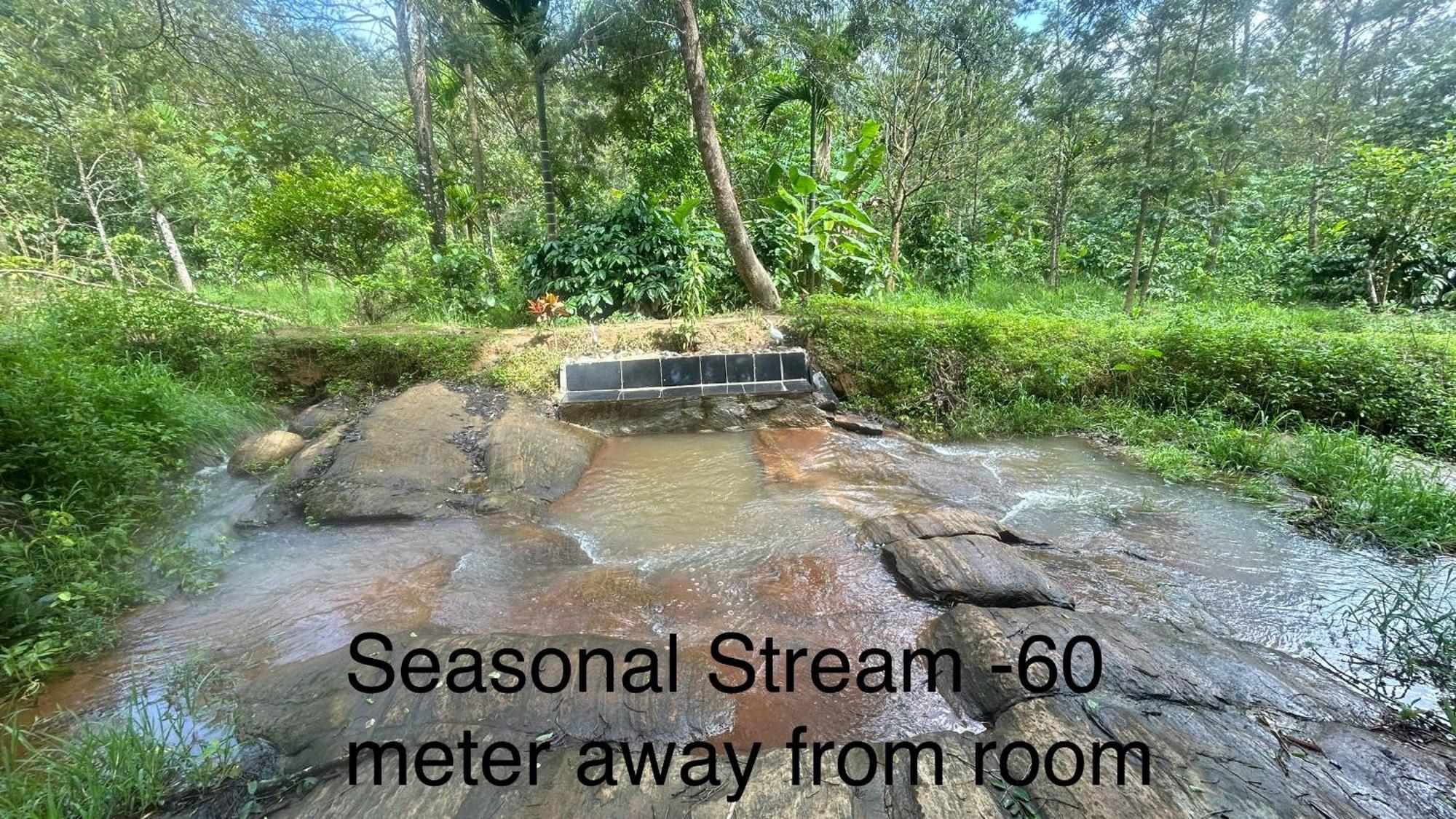Doddakallu Betta Homestay Coorg Somvarpet Ngoại thất bức ảnh