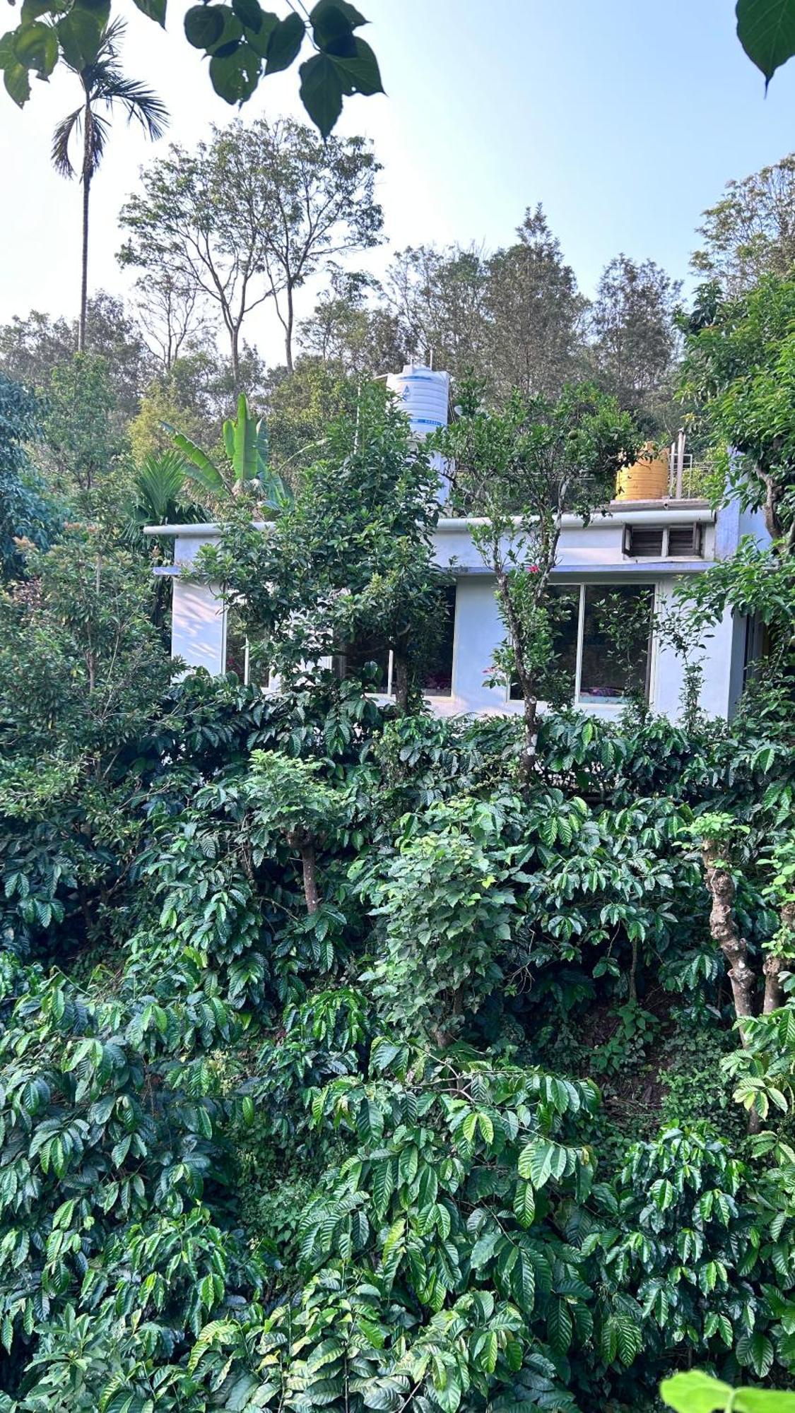Doddakallu Betta Homestay Coorg Somvarpet Ngoại thất bức ảnh