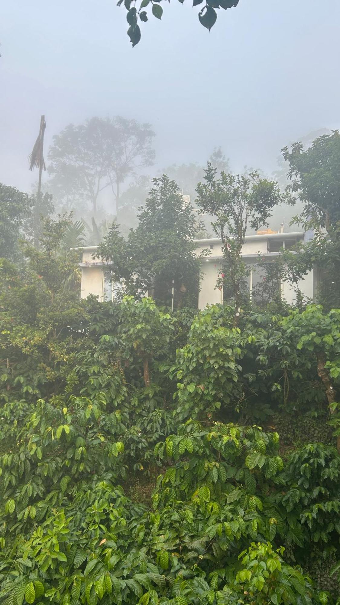 Doddakallu Betta Homestay Coorg Somvarpet Ngoại thất bức ảnh